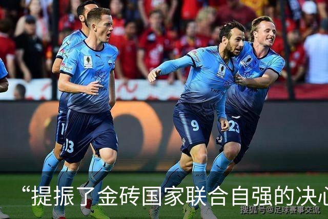 “提振了金砖国家联合自强的决心和信心”