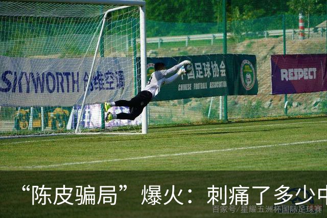 “陈皮骗局”爆火：刺痛了多少中国人...