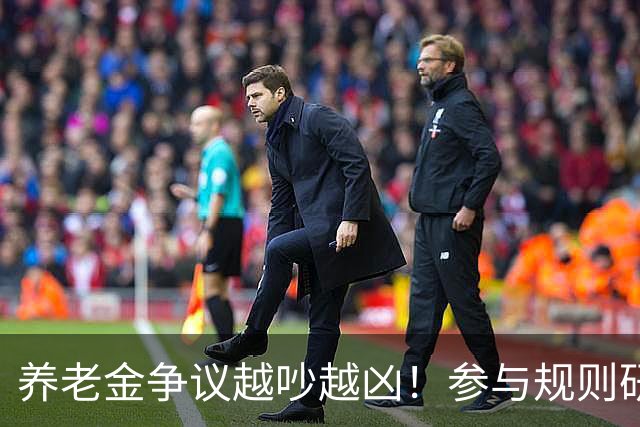 养老金争议越吵越凶！参与规则研讨的专家，待遇和普通人一样吗
