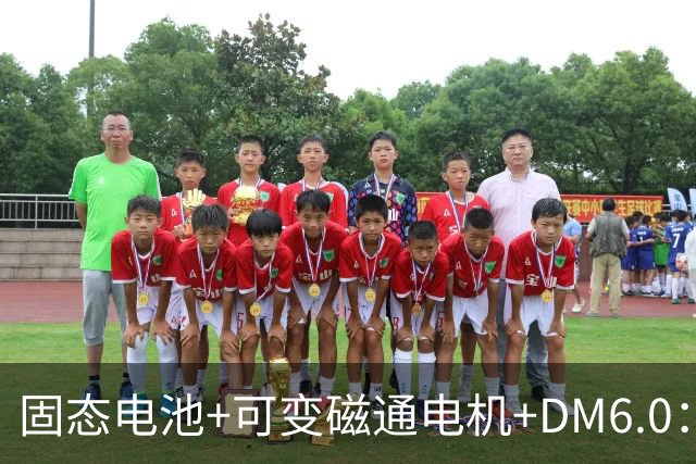 固态电池+可变磁通电机+DM6.0：比亚迪最狠的技术，方程豹先用