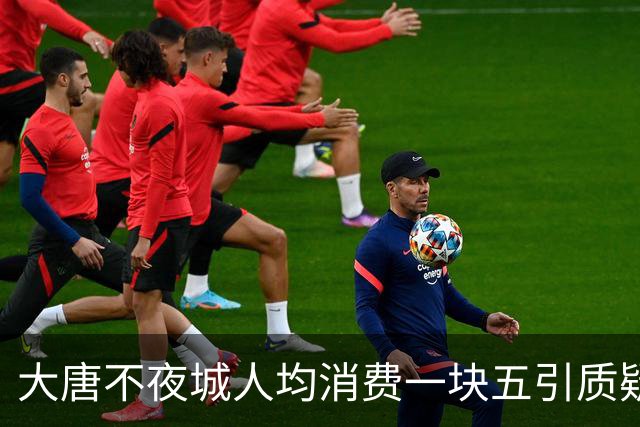 大唐不夜城人均消费一块五引质疑