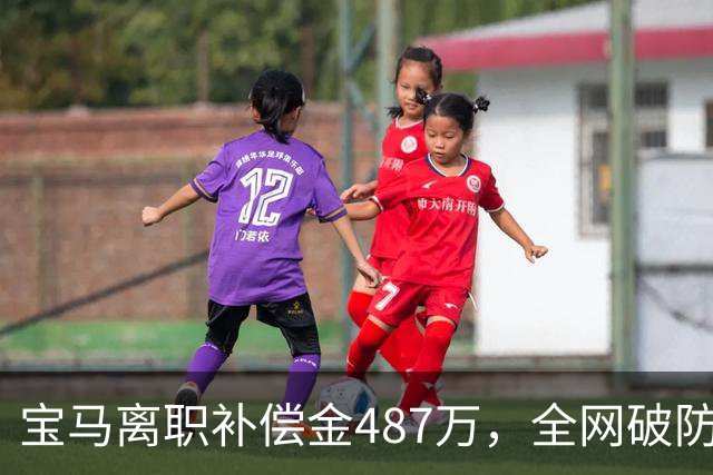 宝马离职补偿金487万，全网破防了！