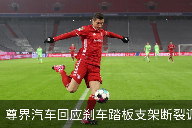 尊界汽车回应刹车踏板支架断裂调查：全力配合调查组