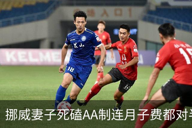 挪威妻子死磕AA制连月子费都对半分，我怒了拎包连夜回国｜讲述人大刘（化名）四十五岁北京人曾外派北欧二婚