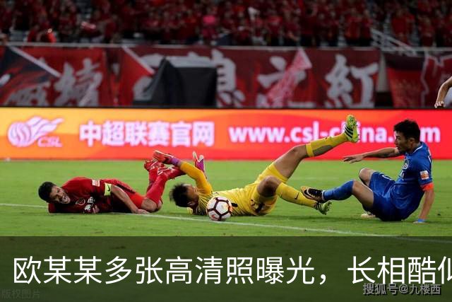 欧某某多张高清照曝光，长相酷似孙小果，一看就是狠角色，空姐被吓跪道歉