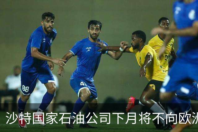 沙特国家石油公司下月将不向欧洲买家交付原油