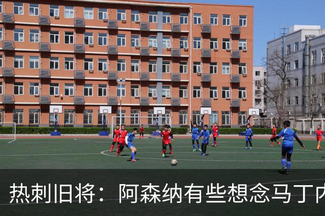 热刺旧将：阿森纳有些想念马丁内利和特罗萨德，不该放走他们