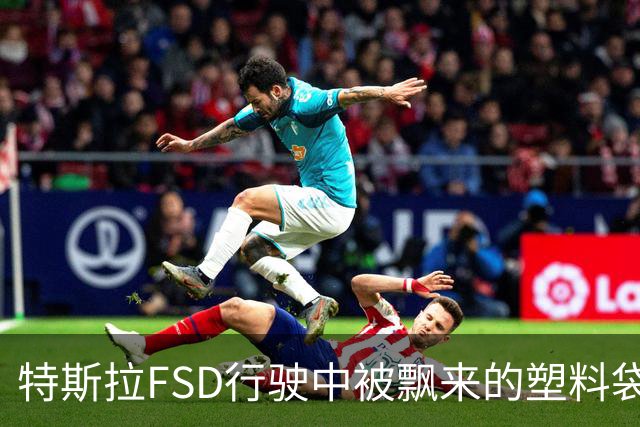 特斯拉FSD行驶中被飘来的塑料袋逼停：又遭后方卡车追尾