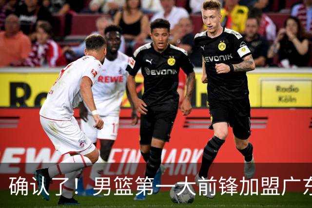 确认了！男篮第一大前锋加盟广东队，亚帅迎来最后的冠军拼图？