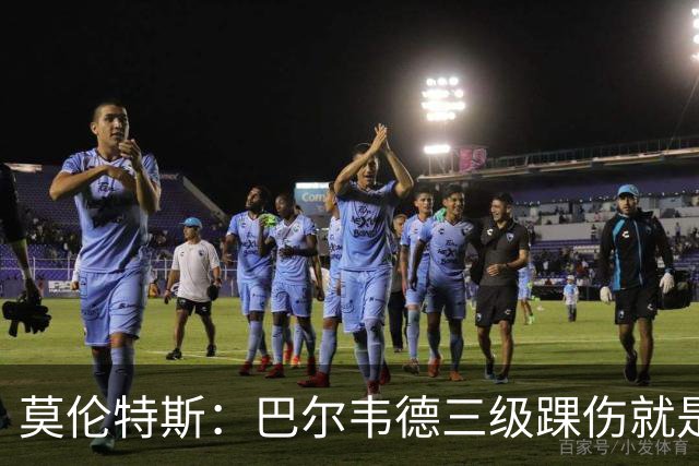 莫伦特斯：巴尔韦德三级踝伤就是韧带全断