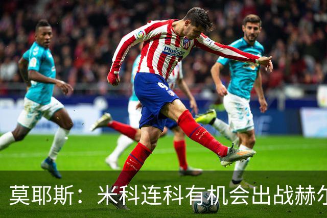 莫耶斯：米科连科有机会出战赫尔城