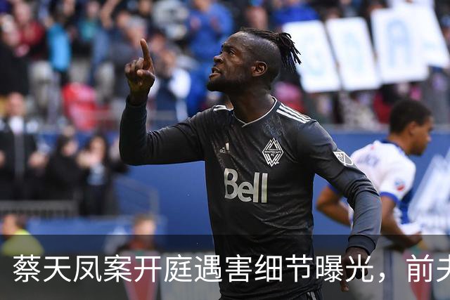 蔡天凤案开庭遇害细节曝光，前夫父子分头行事，车上行凶全程冷静