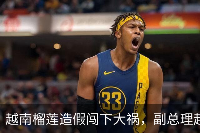 越南榴莲造假闯下大祸，副总理赶到南宁，请中国再给他们一次机会