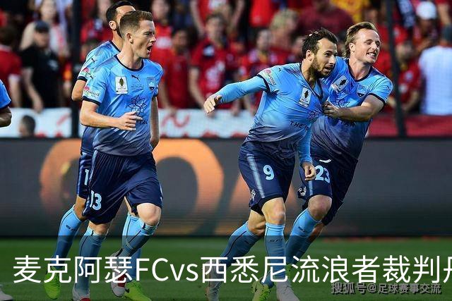 麦克阿瑟FCvs西悉尼流浪者裁判丹尼尔-埃尔德数据：近20场1红58黄6点