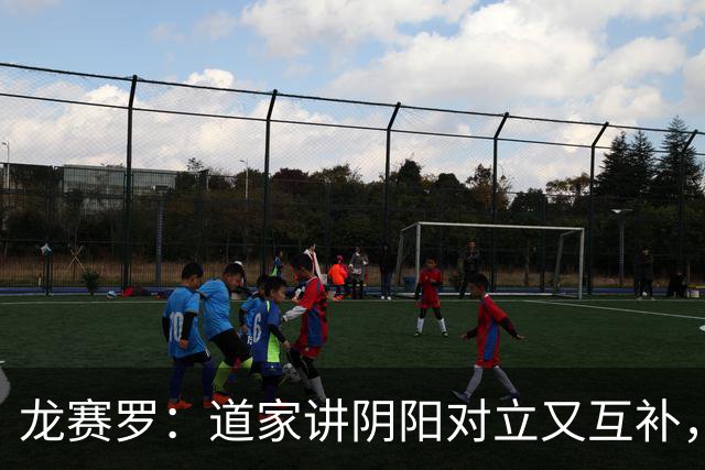 龙赛罗：道家讲阴阳对立又互补，今夜就是阴与“扬”