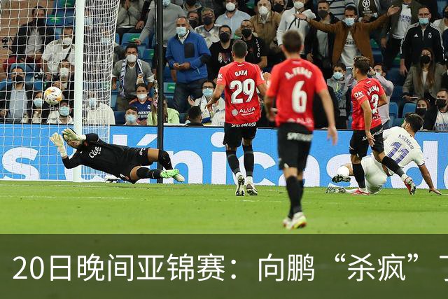 20日晚间亚锦赛：向鹏“杀疯”了，李天阳造惨案，国乒剑指冠军！