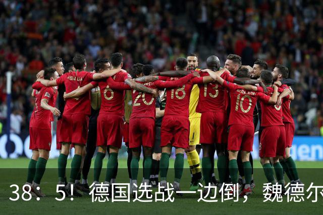 38：5！德国选战一边倒，魏德尔压倒性大胜，中德走向迎来新拐点