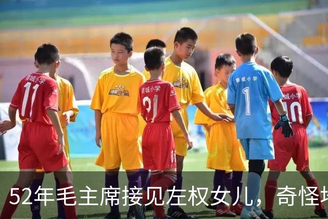 52年毛主席接见左权女儿，奇怪地问：你的名字为什么是太北？