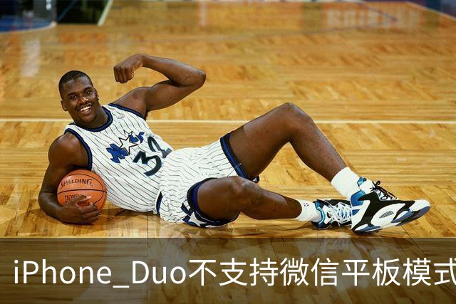iPhone Duo不支持微信平板模式？客服回应